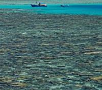 Montgomery Reef